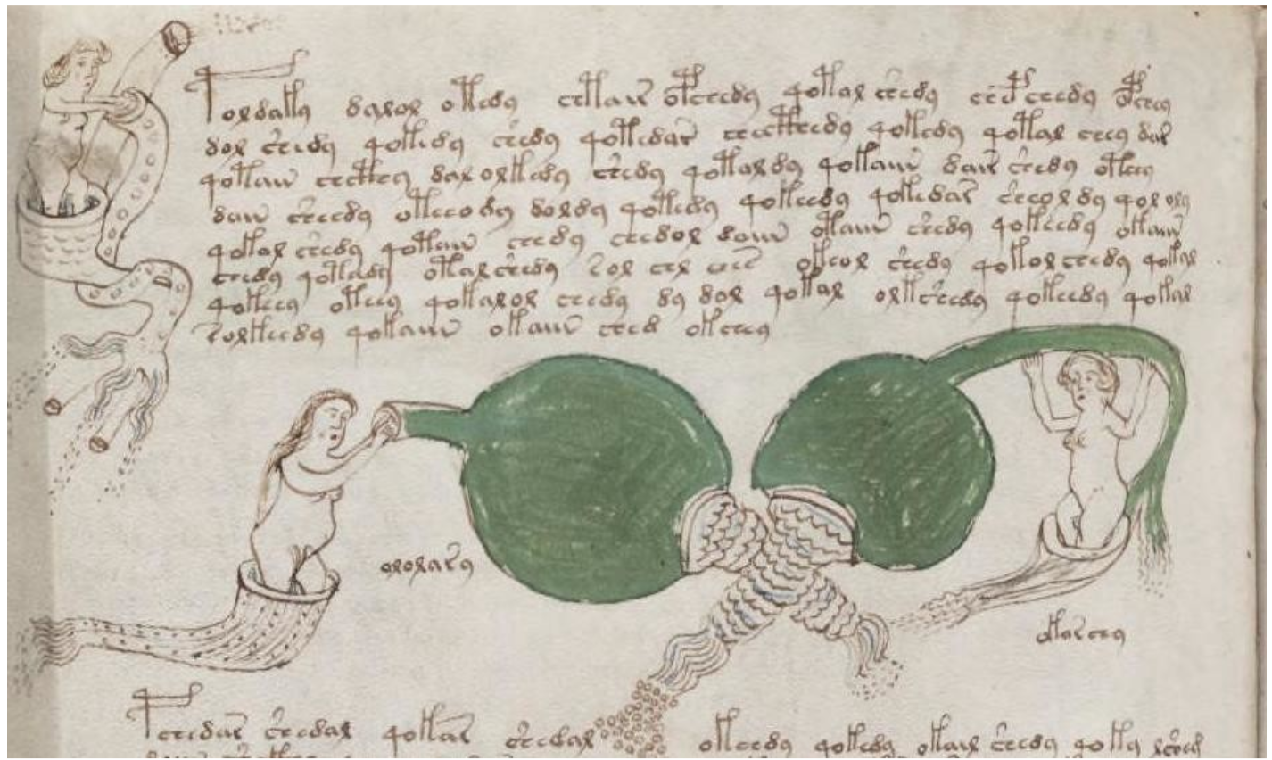 A page from the Voynich Manuscript