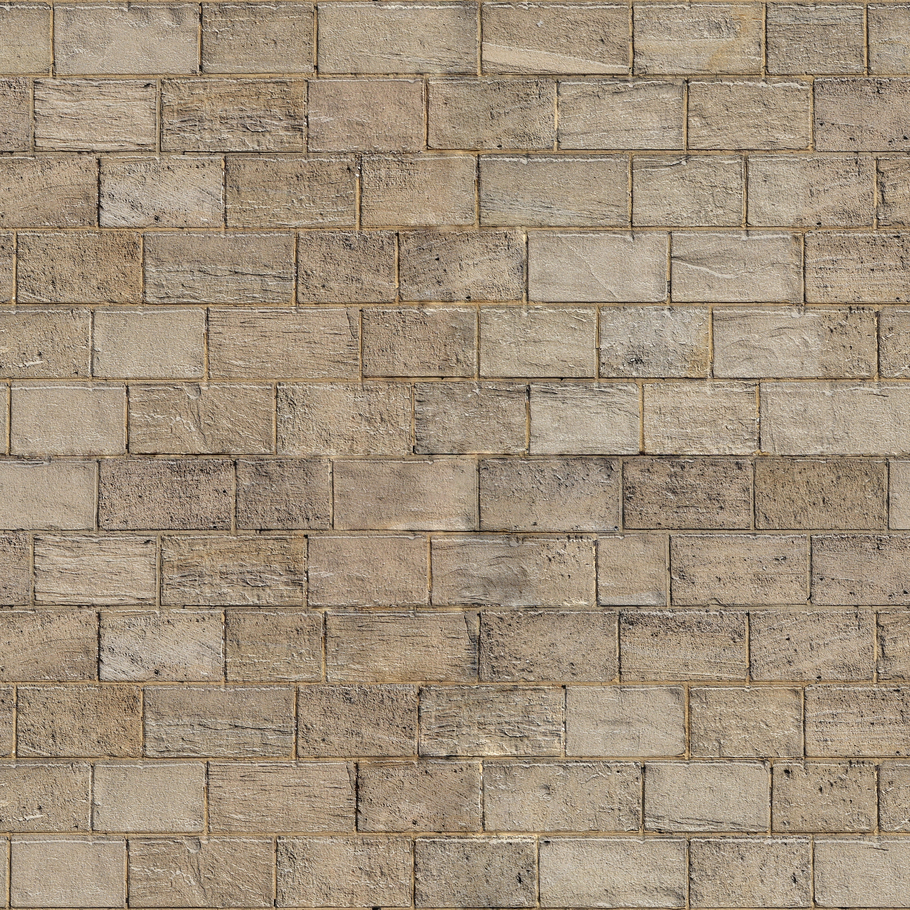 A weathered limestone wall, close in.