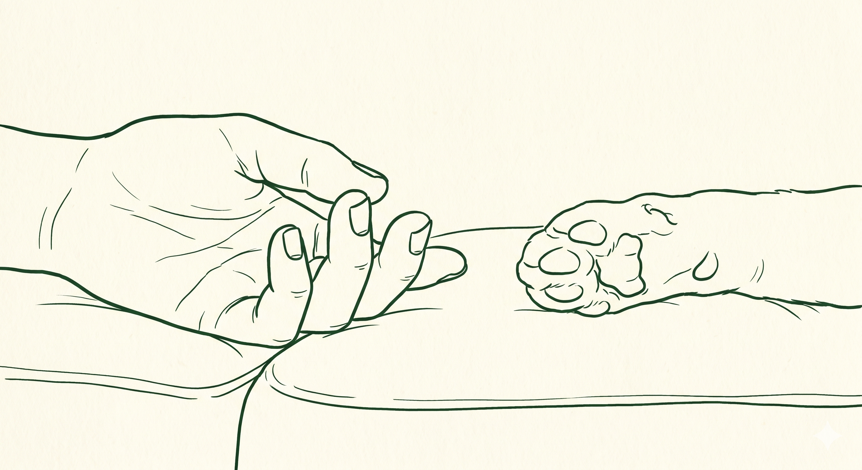 A hand and a paw